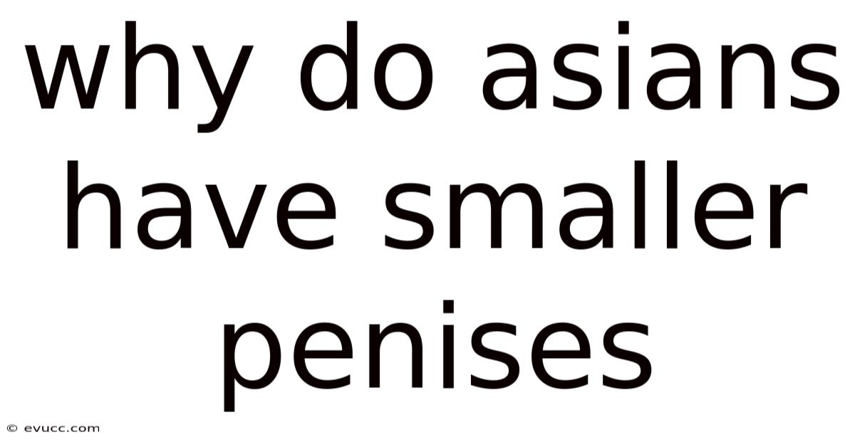Why Do Asians Have Smaller Penises