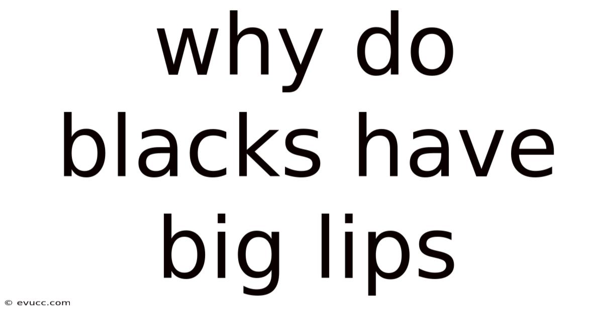 Why Do Blacks Have Big Lips