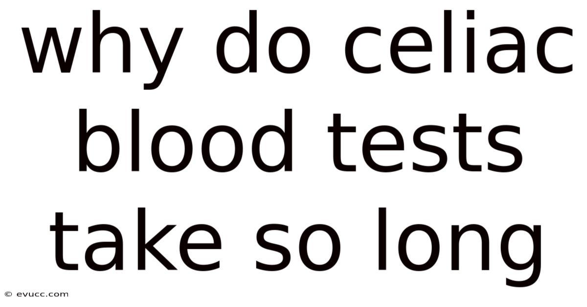 Why Do Celiac Blood Tests Take So Long