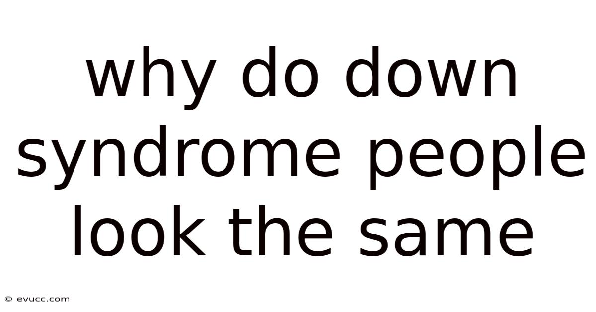Why Do Down Syndrome People Look The Same