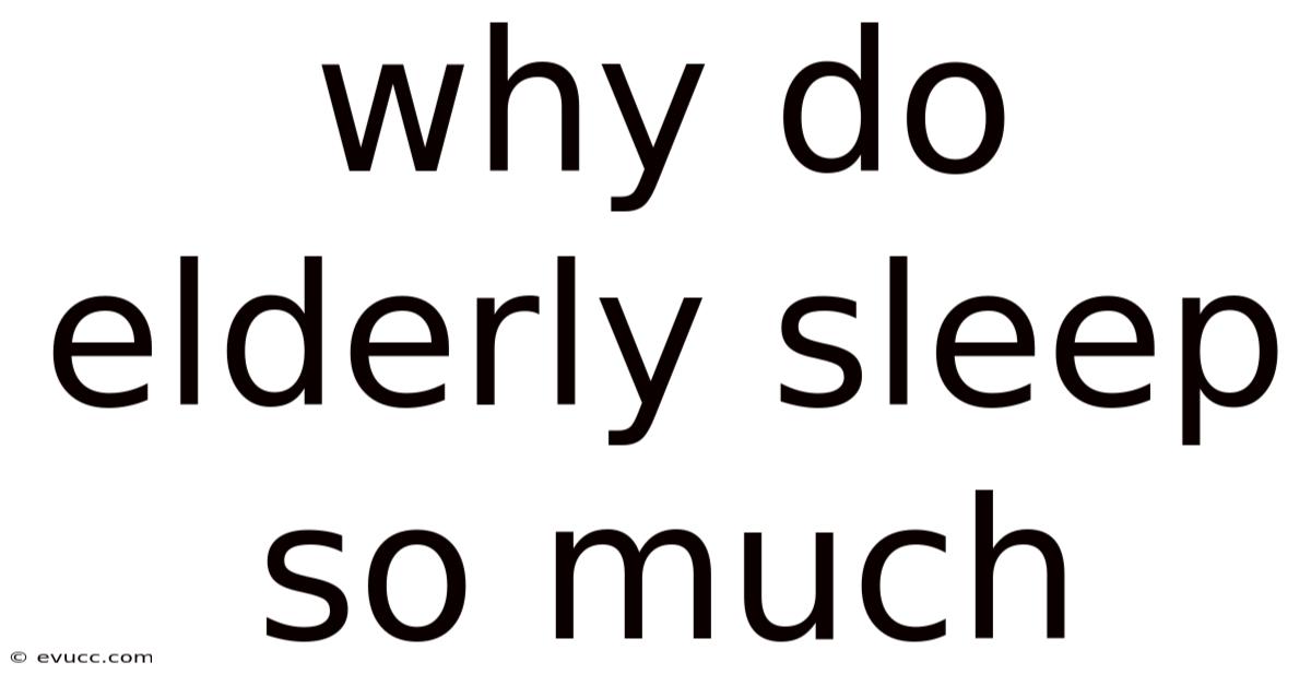 Why Do Elderly Sleep So Much