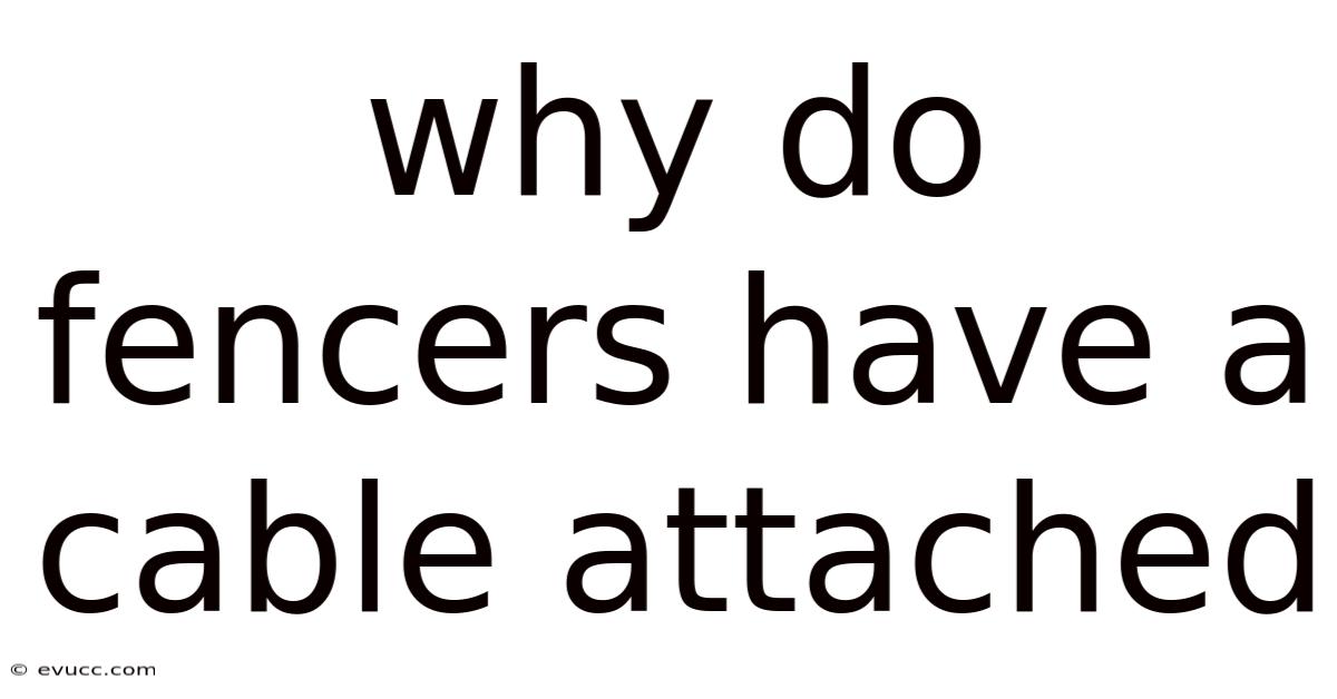 Why Do Fencers Have A Cable Attached