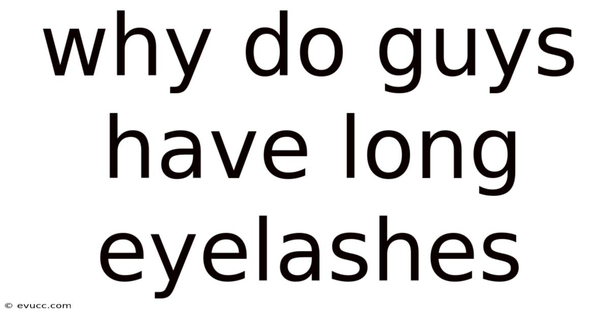 Why Do Guys Have Long Eyelashes