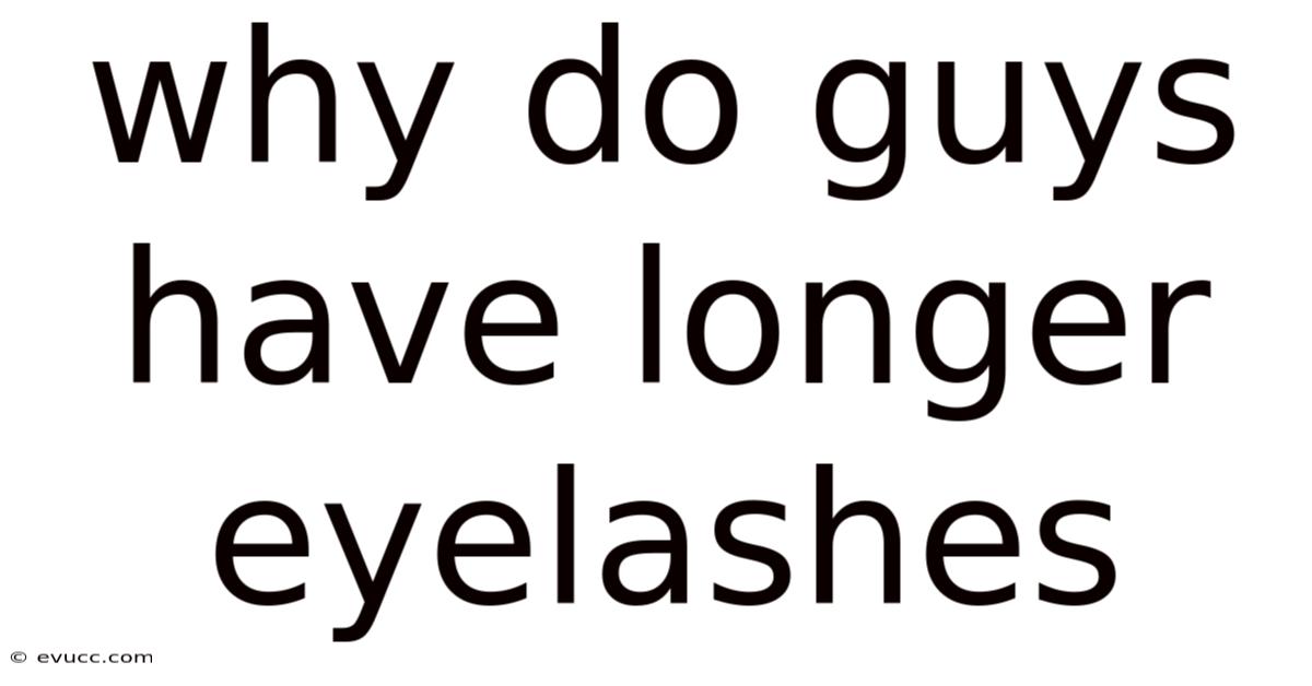 Why Do Guys Have Longer Eyelashes