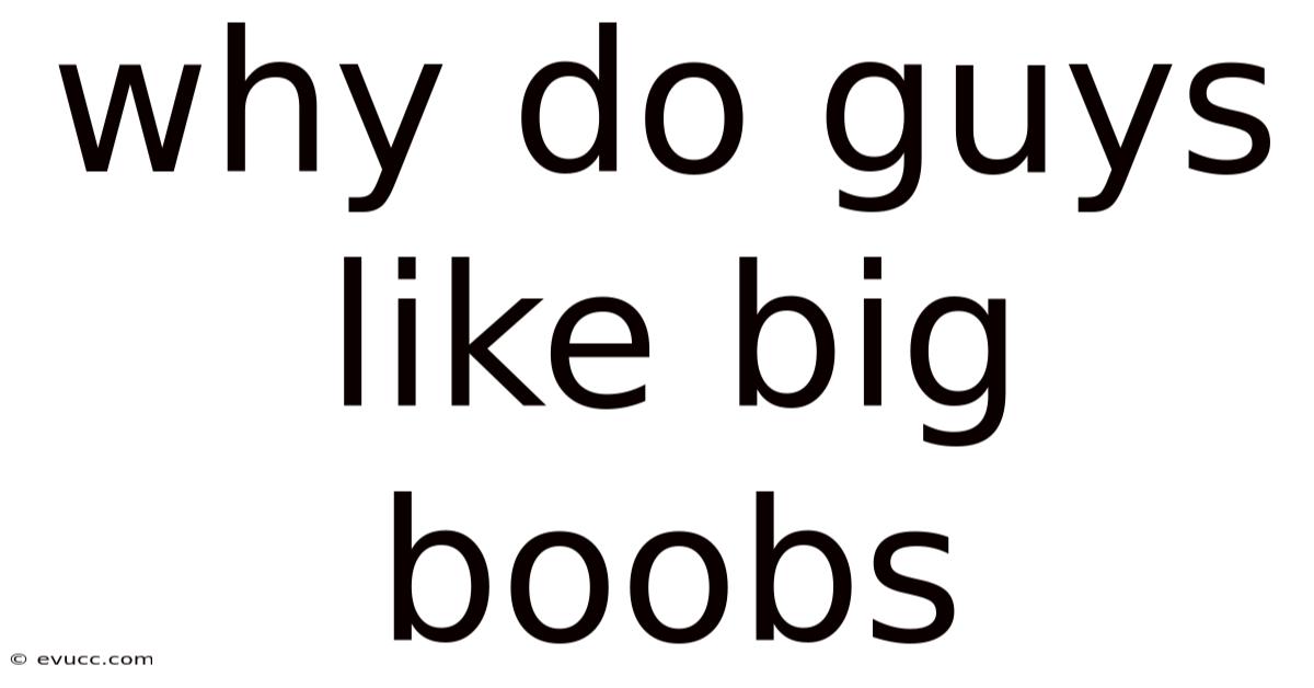 Why Do Guys Like Big Boobs