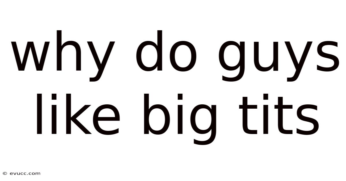 Why Do Guys Like Big Tits