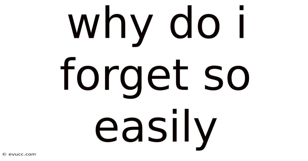 Why Do I Forget So Easily