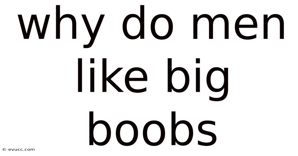 Why Do Men Like Big Boobs
