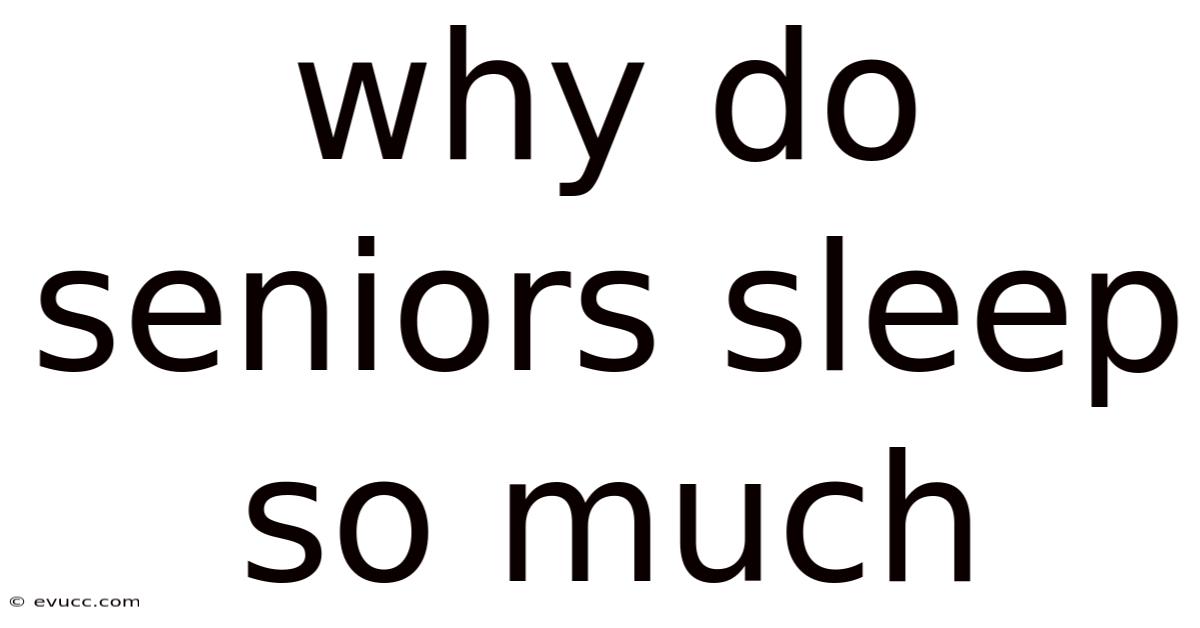 Why Do Seniors Sleep So Much