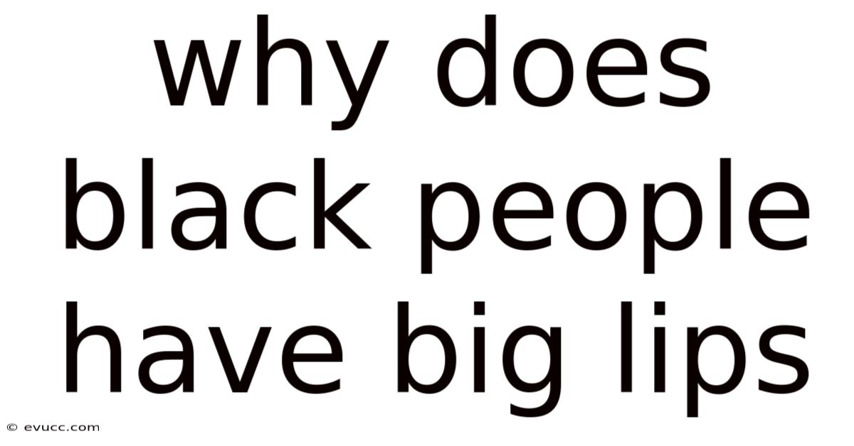 Why Does Black People Have Big Lips
