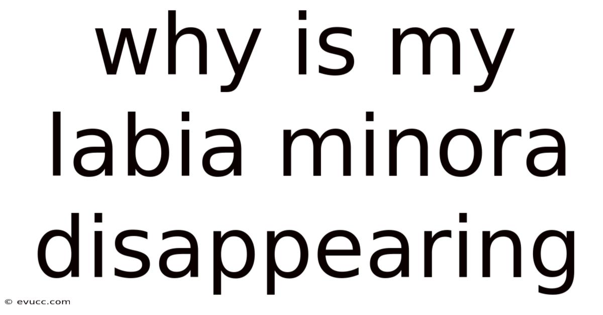 Why Is My Labia Minora Disappearing