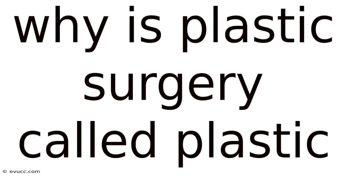 Why Is Plastic Surgery Called Plastic