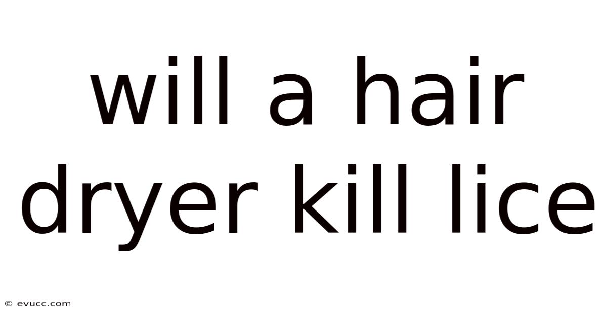 Will A Hair Dryer Kill Lice