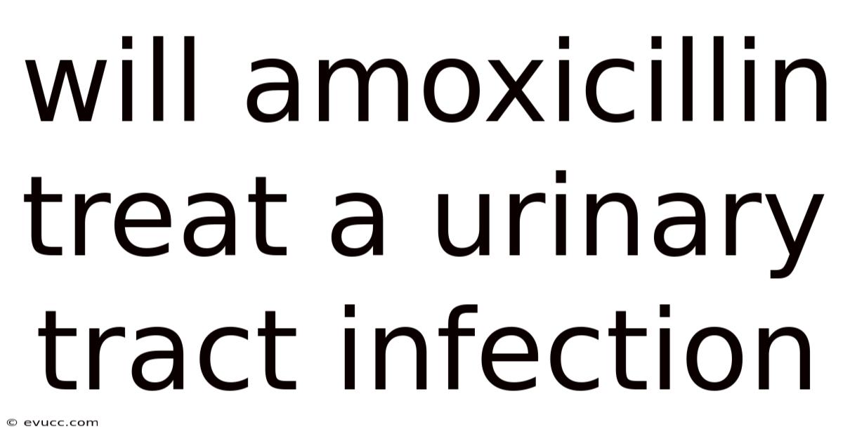 Will Amoxicillin Treat A Urinary Tract Infection