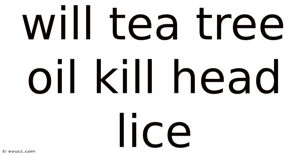 Will Tea Tree Oil Kill Head Lice