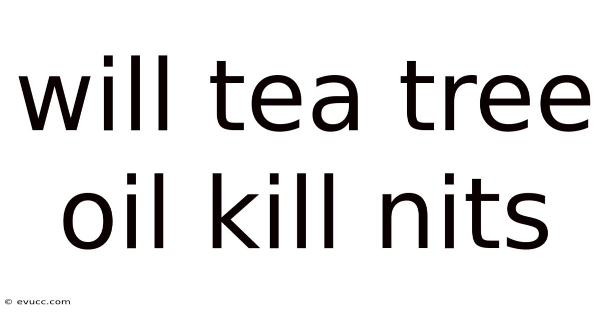 Will Tea Tree Oil Kill Nits