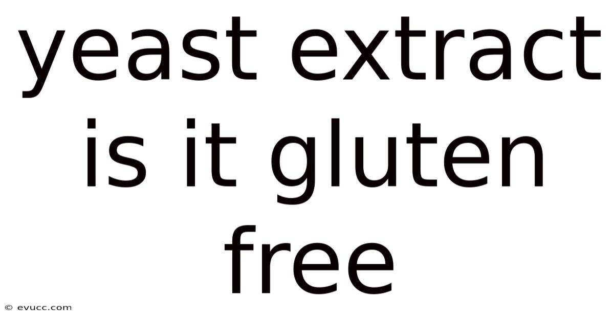 Yeast Extract Is It Gluten Free